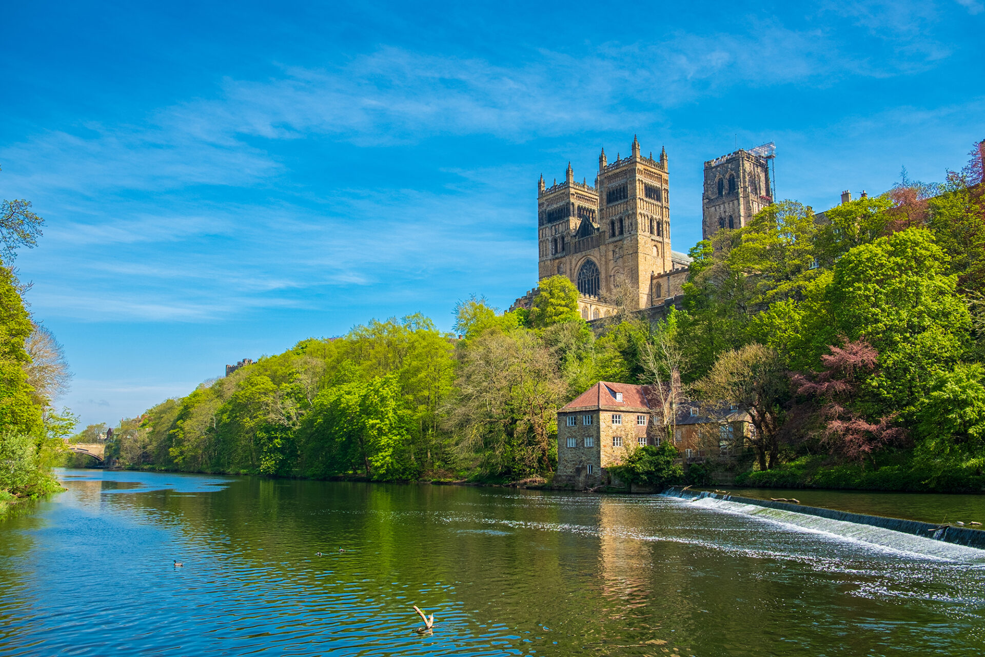 booking a visit for durham
